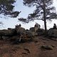 SDC19988 kl