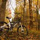 Herbst2K10Bild128