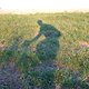 DSCF3692 1286822229