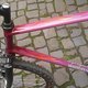 MountainGoatDeluxe46