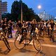 Critical Mass 1804 4054a