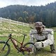 IMG 0974