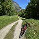 IMG 2979