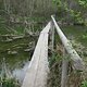 IMG 5792-1