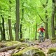 schöner Trail und tolle Landschaft im Taunus