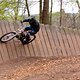 IMG 3444