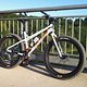 FATTY 0251