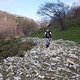 Ligure2013-04-161