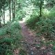0005 Harz-Trail