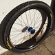 OLY81371