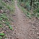 2014 06 Herrenrunde 05