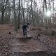 IMG 1545