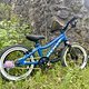 Custom „Mini Pivot Firebird PFR“ 14“ Ramones