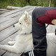 IMG 4190