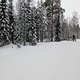 Winterpokal-Aktivität