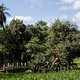 Los geht&#039;s in unserem XXL-Bikecheck mit einem richtigen Kracher