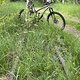 IMG 6011