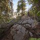 BC Sea to Sky - PHD