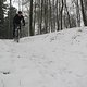 IMG 0686