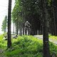 Bikefestival Willingen 2009-Downhill Worlcup 