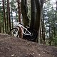 Commencal Absolut (MEINS)