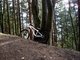 Commencal Absolut (MEINS)