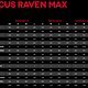 Geometrie des Focus Raven Max