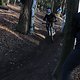 IMG 1846