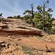 Whole Enchilada, Moab, Utah - Upper Porcupine Trail 20200918 193435816 iOS