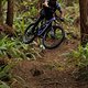 Ibis Cycles HD6 Riding (8)