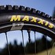 MTBNews