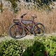 L1000014 (MTB-News)