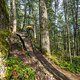 BC Squamish - Pleasure Trail