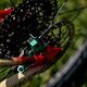 MTBNews25 Araxa2 VKoretzkyBike-0475
