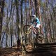 Bike Beerfelden P 303