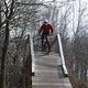 IMG 7217