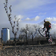 vlcsnap-2011-12-10-17h52m36s141