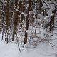 DSC 0304