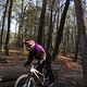 IMG 1735