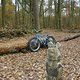 Ausritt mit dem ICT, Heiligenseer Baumberge