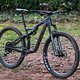 Salsa Horsethief Carbon