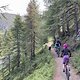 IMG 4238