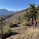 IMG 6849