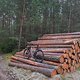Mountainbike-Fahrt am Morgen