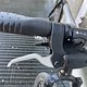 IMG 2924