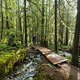 BC Squamish - Airplane Mode