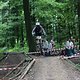 IMG 5247