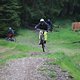 IMG 9681