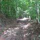 IMG 0203