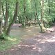 DSCF0093